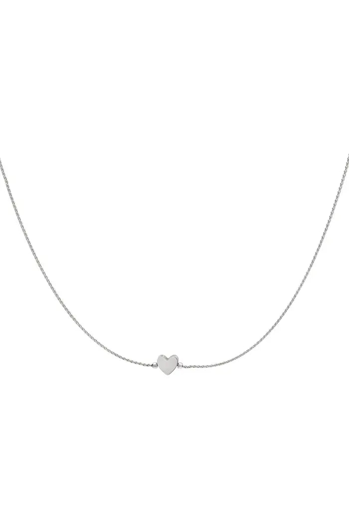 Ketting hart Goud/Zilver Stainless Steel