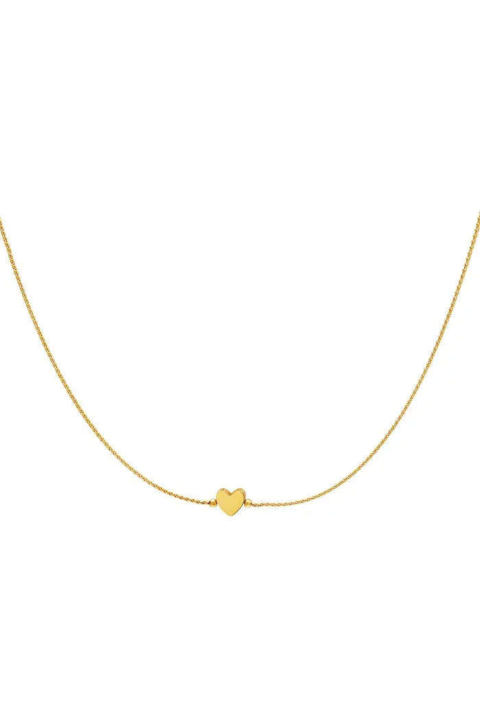 Ketting hart Goud/Zilver Stainless Steel