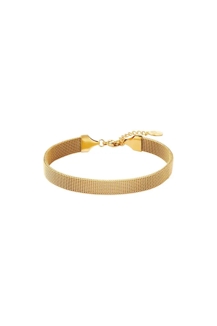 Roestvrij stalen armband Goud/Zilver Stainless Steel
